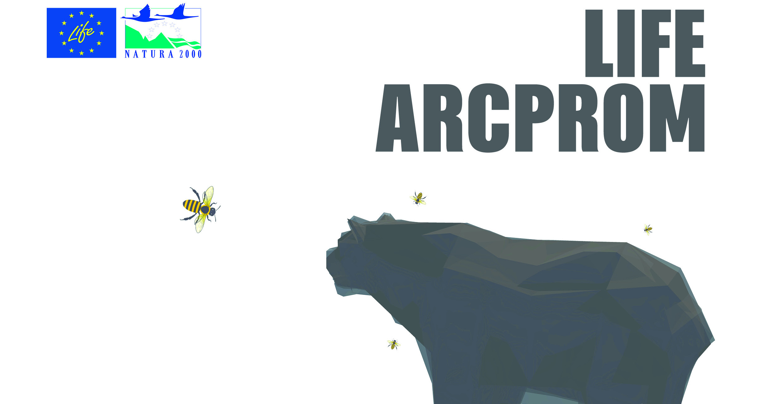 Αφίσα για νεαρό αρκουδάκι