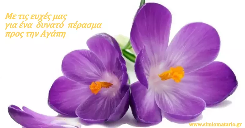 Οι ΣημειΩματογράφοι για το Πάσχα - Κάρτα ευχών με βιολέτα