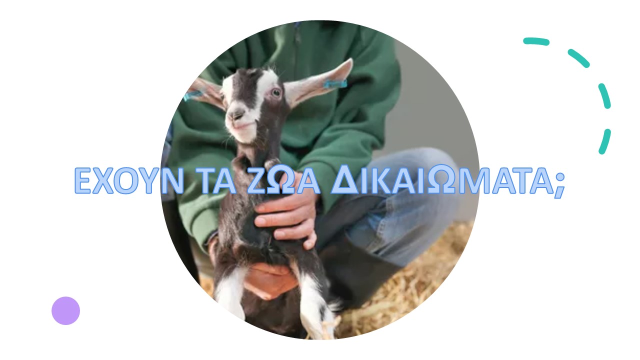 You are currently viewing Έχουν τα ζώα δικαιώματα;