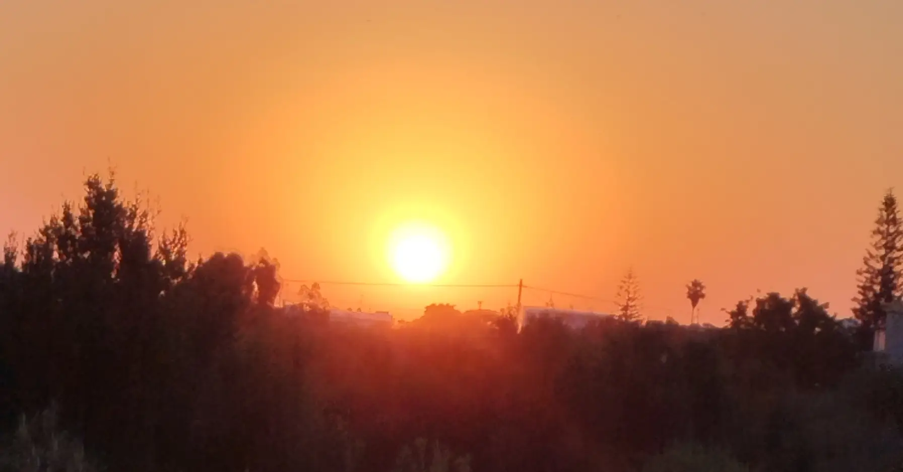 You are currently viewing Δύο ανέκδοτα ποιήματα της Δήμητρας Παλαπάνη