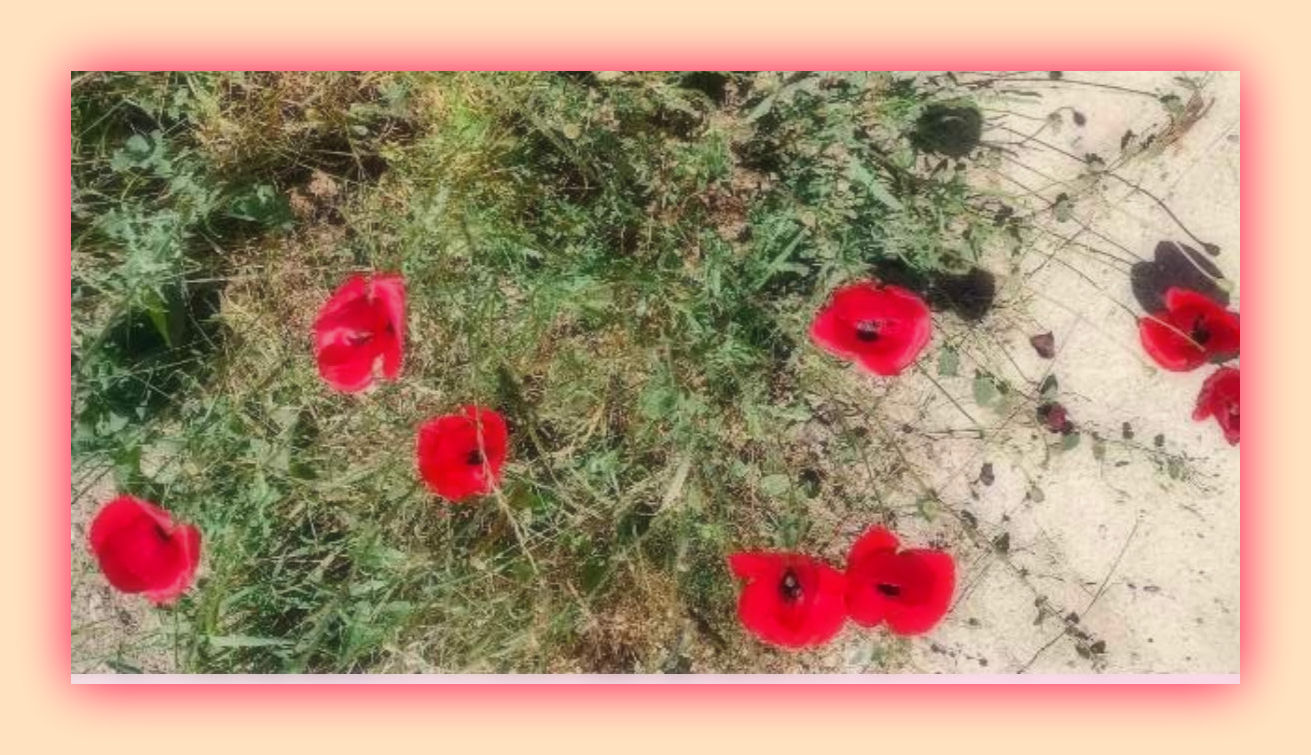 You are currently viewing Οι μέρες των θαυμάτων και άλλα μαγικά ταξίδια, στο ΣημειΩματάριο της Μαρίας Σωτηροπούλου