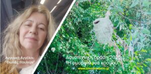 Αγγελική Αγγέλου