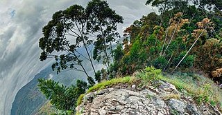 You are currently viewing Μαρτυρίες και Ταξίδι στο ΣημειΩματάριο του Γιώργου Αλεξανδρή