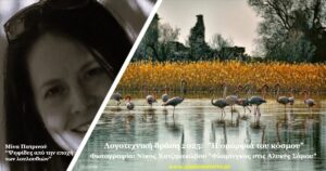 Μίνα Πατρινού