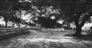 Ανάγν. more about the article Είχε σκοτεινιάσει από καιρό…