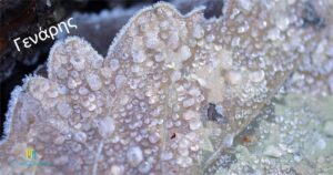 Ανάγν. more about the article Ιανός, στο ΣημειΩματάριο της Μαρίας Σωτηροπούλου