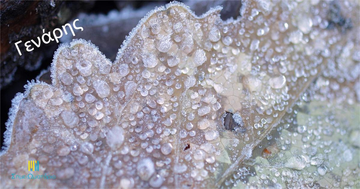 You are currently viewing Ιανός, στο ΣημειΩματάριο της Μαρίας Σωτηροπούλου