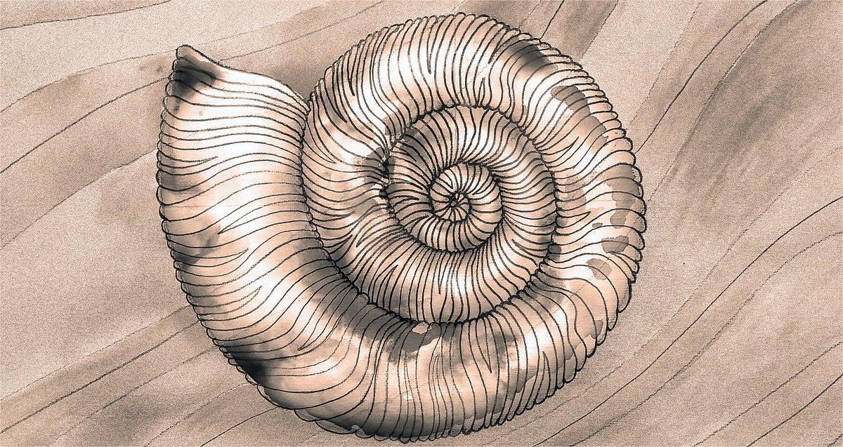 You are currently viewing Fouilles, της Μάνιας Φερτάκη